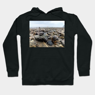 Snail and Rocks Hoodie